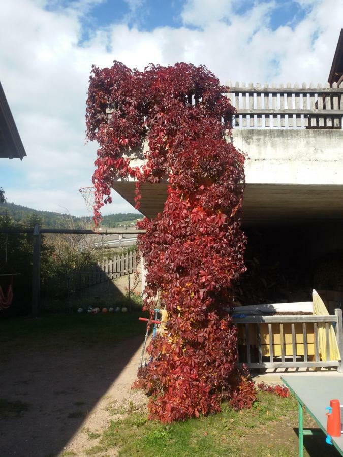 Pitterle Hof Meltina Exterior foto
